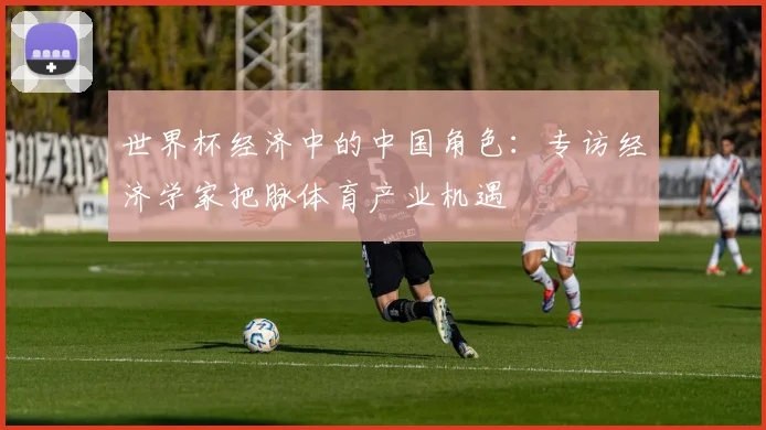 世界杯经济中的中国角色：专访经济学家把脉体育产业机遇