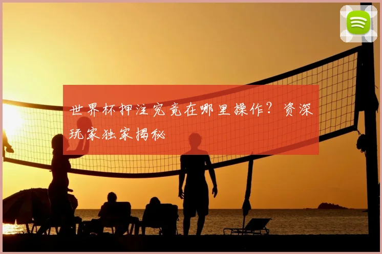 世界杯押注究竟在哪里操作?资深玩家独家揭秘